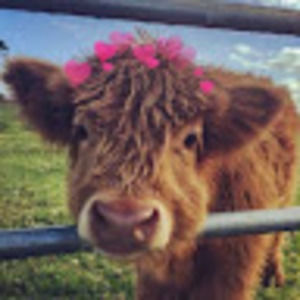 Meet your Posher, Bridget